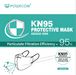 KN95 Respirator Masks (10ct)-GRJ Health